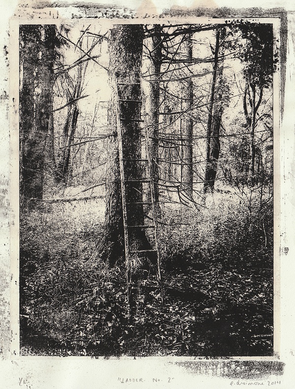 ladder
