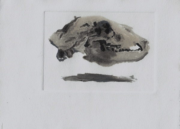 bearskullmonotype